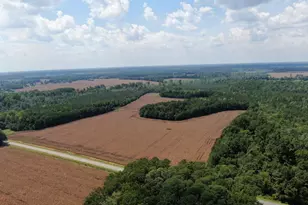 Tbd Pleasant Hope Rd, Fairmont, NC 28340 - Photo 1