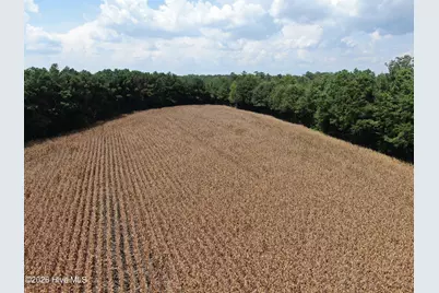 Tbd Pleasant Hope Road, Fairmont, NC 28340 - Photo 17