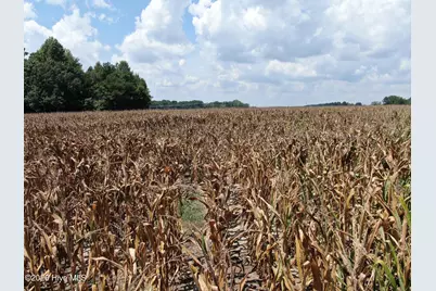 Tbd Nc 41, Fairmont, NC 28340 - Photo 27
