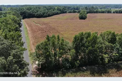 Tbd Nc 41, Fairmont, NC 28340 - Photo 5