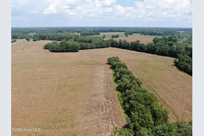 Tbd Nc 41, Fairmont, NC 28340 - Photo 17