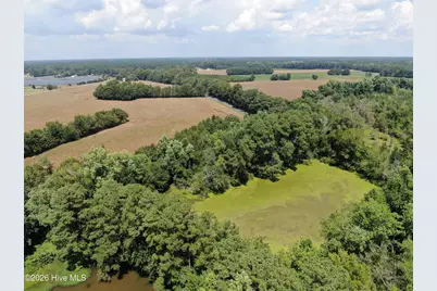 Tbd Nc 41, Fairmont, NC 28340 - Photo 19