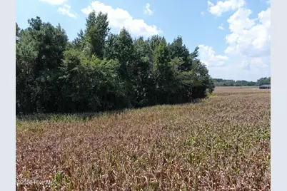 Tbd Nc 41, Fairmont, NC 28340 - Photo 25