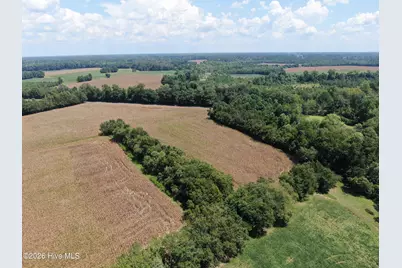 Tbd Nc 41, Fairmont, NC 28340 - Photo 13