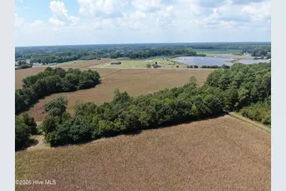 Tbd Nc 41, Fairmont, NC 28340 - Photo 23