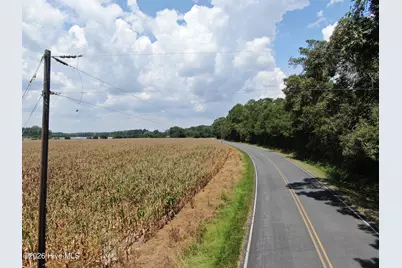 Tbd Nc 41, Fairmont, NC 28340 - Photo 3