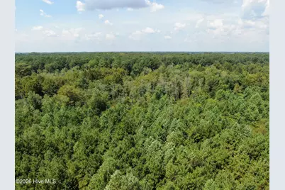 Tbd Fairgrove Road, Fairmont, NC 28340 - Photo 13