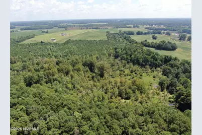 Tbd Fairgrove Road, Fairmont, NC 28340 - Photo 7