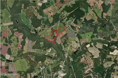 Tbd Chicken Road, Fairmont, NC 28340 - Photo 3