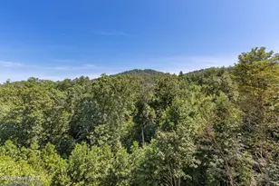 455 Point Overlook Trl, Murphy, NC 28906 - Photo 51