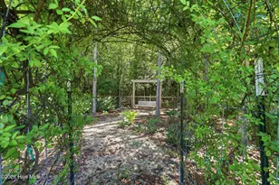 233 Forester Dr, Vass, NC 28394 - Photo 41