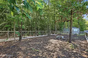 233 Forester Dr, Vass, NC 28394 - Photo 43