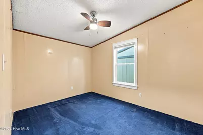 259 Francktown Road, Richlands, NC 28574 - Photo 35