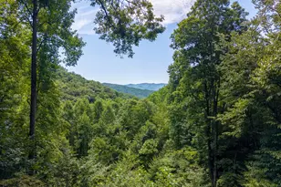240 Mountain Laurel Dr, Bryson City, NC 28713 - Photo 55