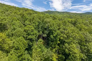 240 Mountain Laurel Dr, Bryson City, NC 28713 - Photo 71