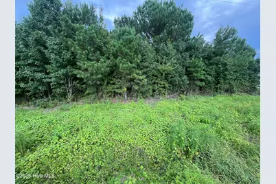 00 Near 1008 N Brown Street, Chadbourn, NC 28431 - Photo 1