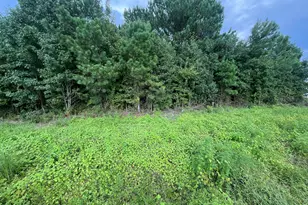 00 Near 1008 N Brown St, Chadbourn, NC 28431 - Photo 1