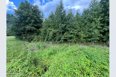 00 Near 1008 N Brown Street, Chadbourn, NC 28431 - Photo 3