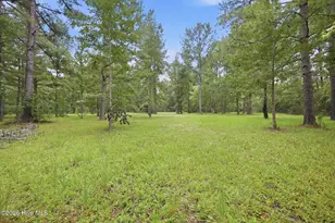 301 Seawell Farm Rd, Bayboro, NC 28515 - Photo 31