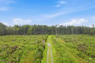 301 Seawell Farm Rd, Bayboro, NC 28515 - Photo 45