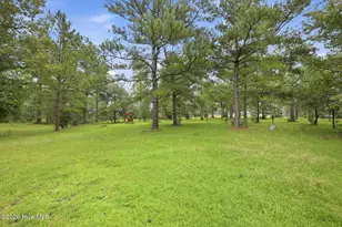 301 Seawell Farm Rd, Bayboro, NC 28515 - Photo 27