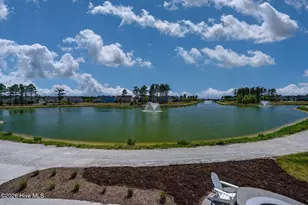3042 Laughing Gull Ter, Wilmington, NC 28412 - Photo 61