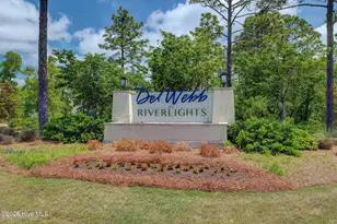 3042 Laughing Gull Ter, Wilmington, NC 28412 - Photo 41