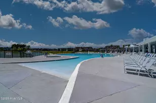 3042 Laughing Gull Ter, Wilmington, NC 28412 - Photo 59