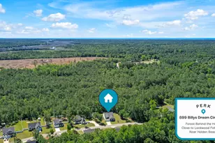 899 Billys Dream Cir SW, Supply, NC 28462 - Photo 49