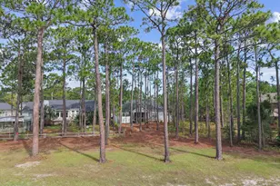 898 Boros Rd, Southport, NC 28461 - Photo 49