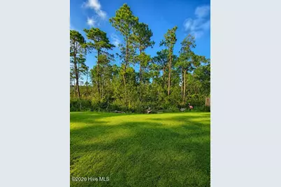 2106 Willowleaf Drive #Lot 28, Leland, NC 28451 - Photo 15