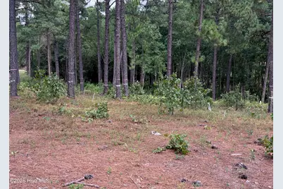 103 Haddington Drive, Pinehurst, NC 28374 - Photo 13