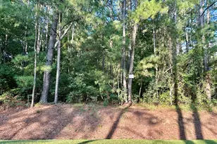 Tbd Stokes Rd, Rockingham, NC 28379 - Photo 1