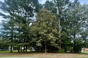 108 Nanthala Ct W, Hertford, NC 27944 - Photo 1