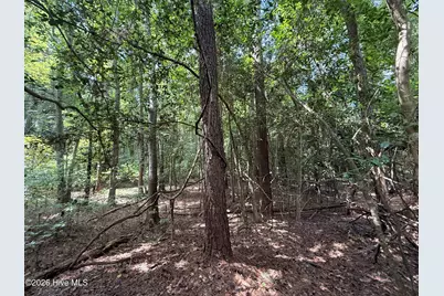 Lot 1A Holland Road, Greenville, NC 27834 - Photo 3