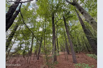 Lot 2B Holland Road, Greenville, NC 27834 - Photo 3