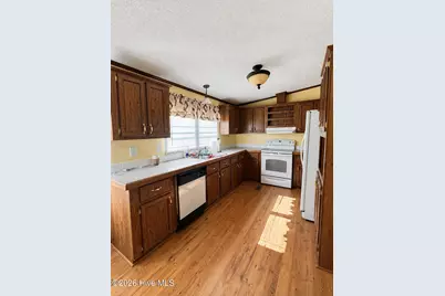 2202 Hollyhock Lane, Deep Run, NC 28525 - Photo 13