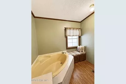 2202 Hollyhock Lane, Deep Run, NC 28525 - Photo 11