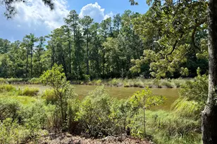264 Mill Creek Ln, Bath, NC 27808 - Photo 21