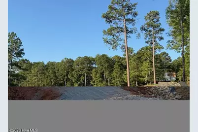 203 Course View, McCormick, SC 29835 - Photo 3