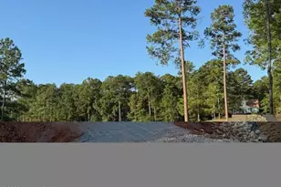 203 Course Vw, McCormick, SC 29835 - Photo 3