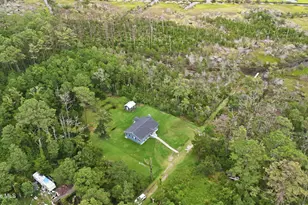395 Nelson Neck Rd, Sea Level, NC 28577 - Photo 23