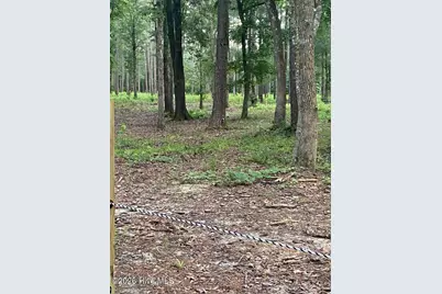 3324 Stag Park Road, Burgaw, NC 28425 - Photo 5
