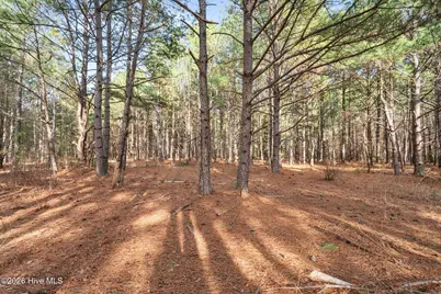 2655 US 1 Highway, Vass, NC 28394 - Photo 3