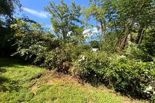 183 Colvard Ave, Andrews, NC 28901 - Photo 29