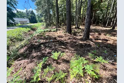Lot 3 Elm Street, Belhaven, NC 27810 - Photo 5