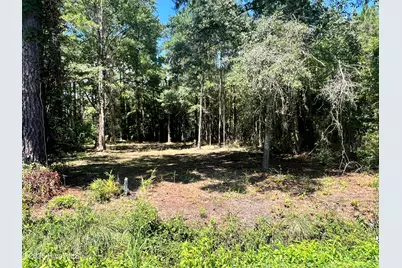 Lot 3 Elm Street, Belhaven, NC 27810 - Photo 3