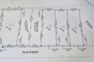 Lot 4 Elm St, Belhaven, NC 27810 - Photo 1