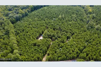 239 Lick Creek Road, Carthage, NC 28327 - Photo 9