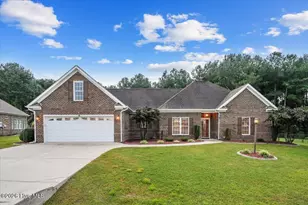 306 S Merganser Dr, Pikeville, NC 27863 - Photo 1
